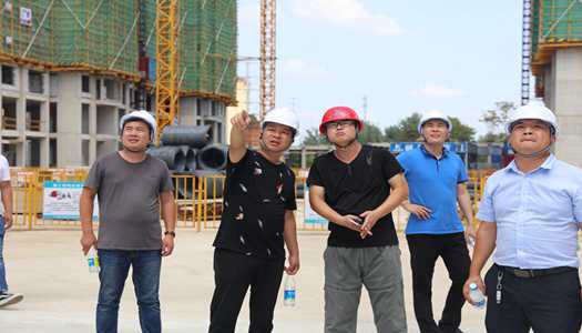 开元注册董事会巡检圆满完成